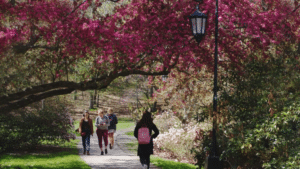 Top 5 Fascinating Things to do in Wellesley - Walk around the Wellesley College Campus