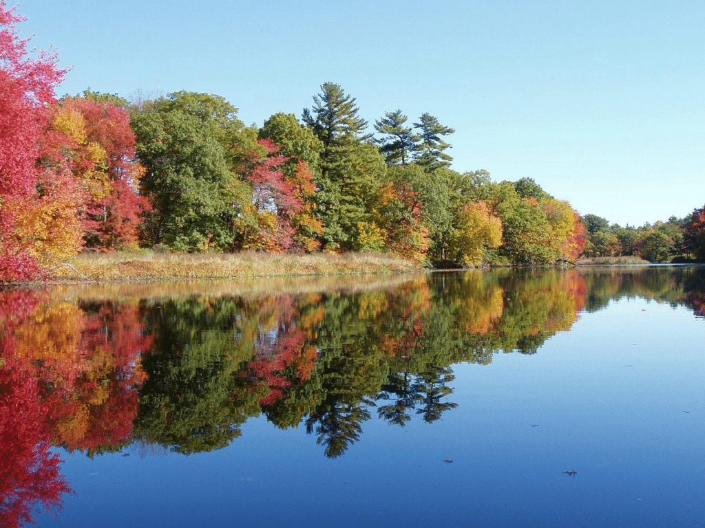 Top 5 Fascinating Things to do in Wellesley - Visit the Charles River Peninsula