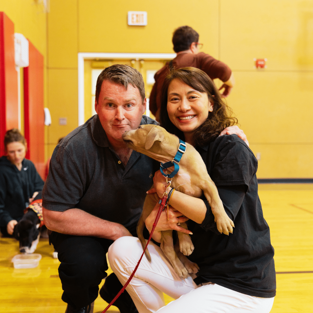 wellesley community events dog adoption